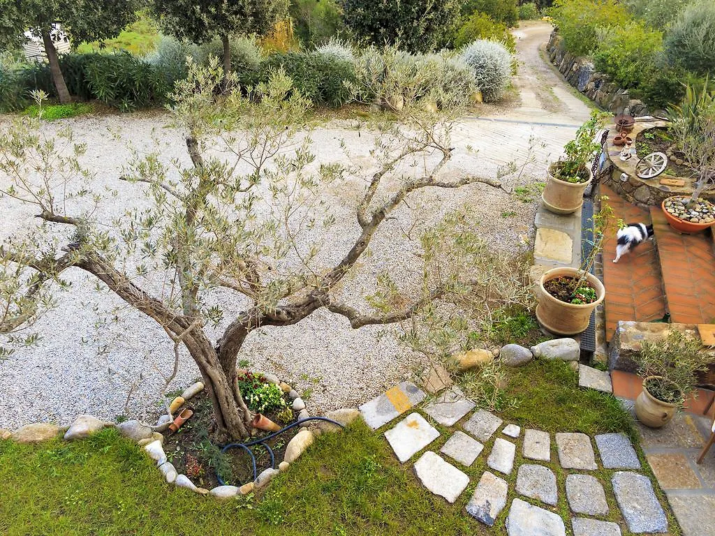 Apartment Appartamento Lavanda Campo nell'Elba